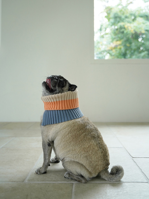 Schnee Neck Warmer - Salmon