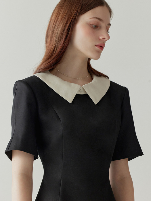 Silk Collar Dress Mini