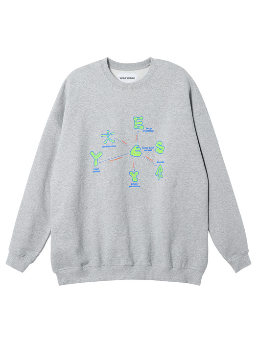 Y.E.S Optical Sweatshirts Grey