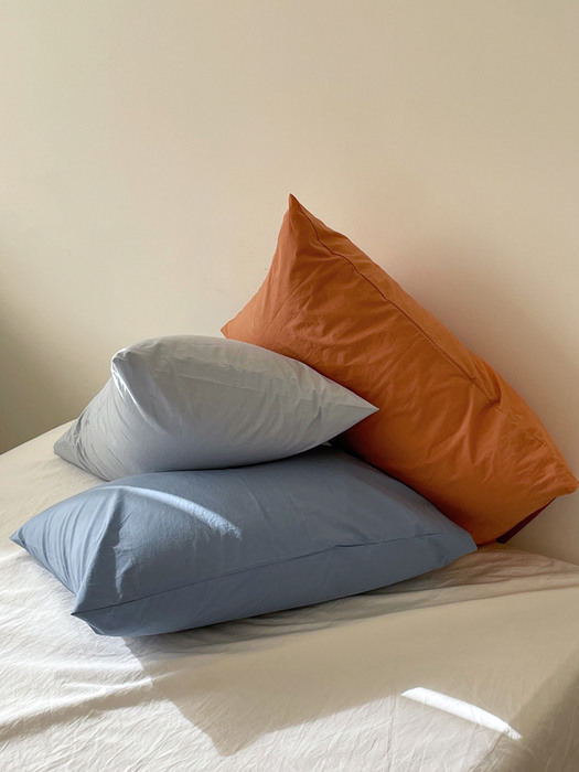 Parisian blue pillow cover