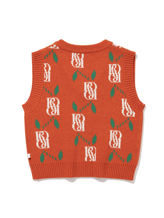 Jacquard V Neck Knit Vest [RED ORANGE]