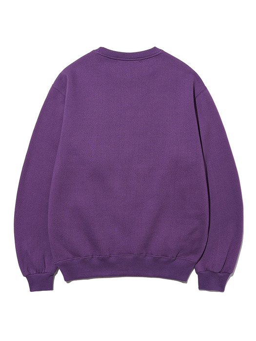 Vintage college sweatshirt_purple