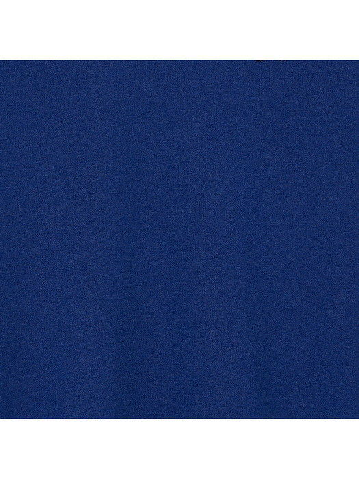 Logo Point Mockneck_Blue