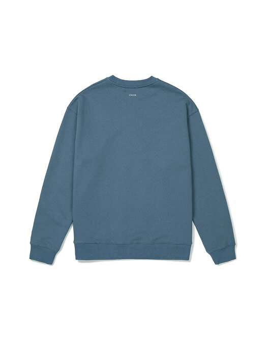 Active Sweatshirts_Men (Blue)