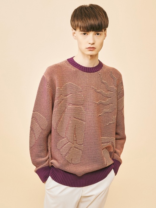 Two-Tone Graphic Sweater_PURPLE