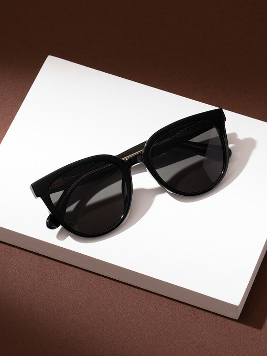 RECLOW E520 BLACK 선글라스