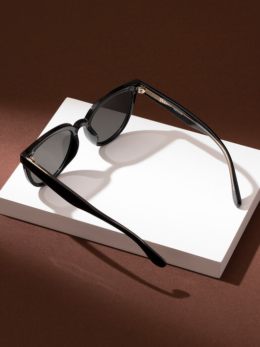 RECLOW E520 BLACK 선글라스
