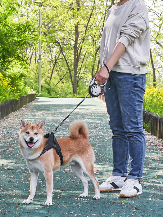 오아 이리와 멀티펫 LED조명 자동 리드줄