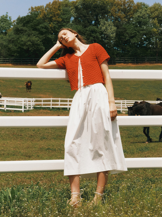 Tuck Flared Skirt _ 2color