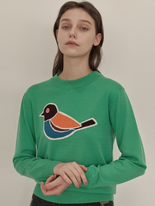 Bird Pullover (Mint Green)