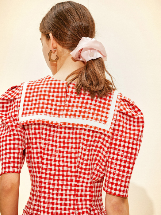 Collar-pointed Dress [Red Gingham Check] JSDR0B901P2