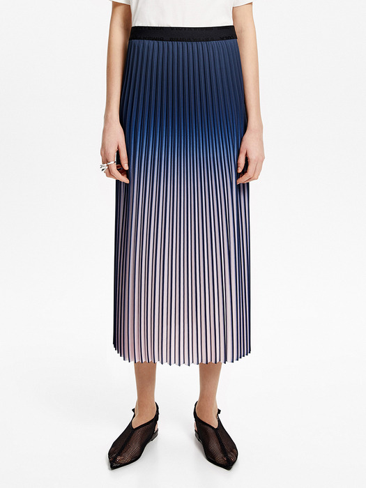 Pleated midi skirt_B205AWS007NY