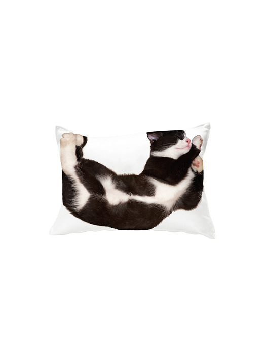 sleep cat pillow cover