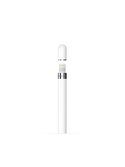 [Apple] 아이패드 아이패드프로용 애플펜슬 1세대 (USB-C 어댑터 포함)