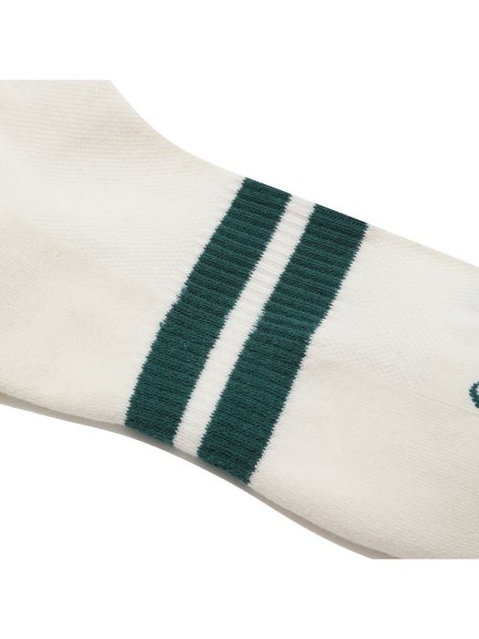 stripe sports socks_CALAX24219WHX