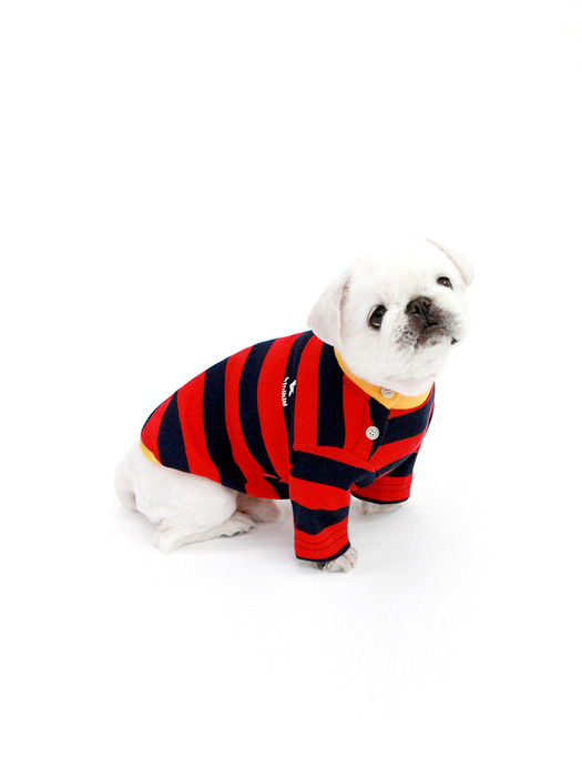 STRIPE NECK BUTTON TSHIRT-2COLOR(반팔티)