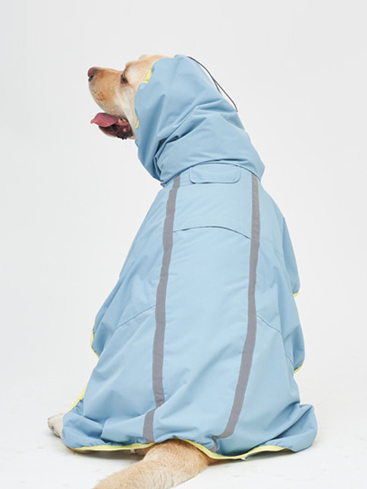 Blue Lemon Rain Coat