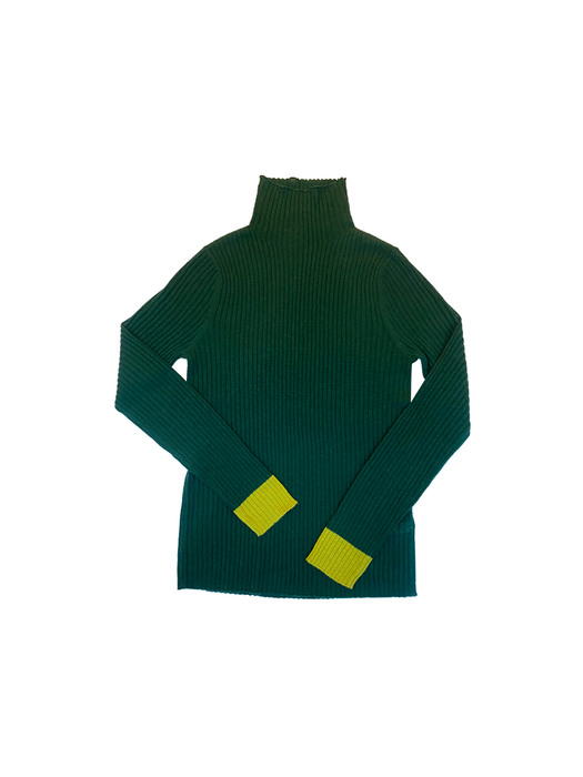  color block turtle neck_ Dark Green (100% fine wool)