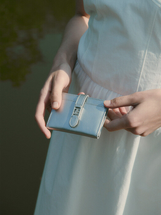 CLASSIC LOGO CARD WALLET IN SILVER