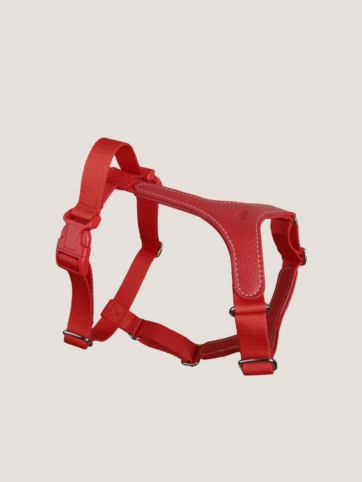 GOPE Signature Dog Harness RERE