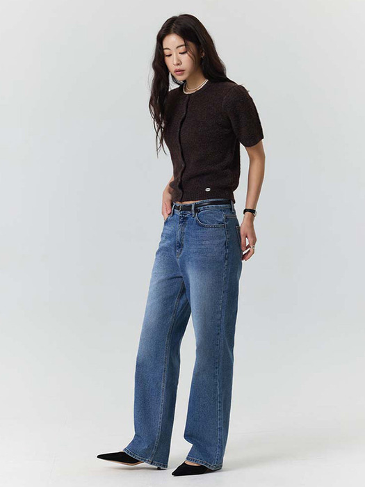 Sage Straight Denim Pants - Blue