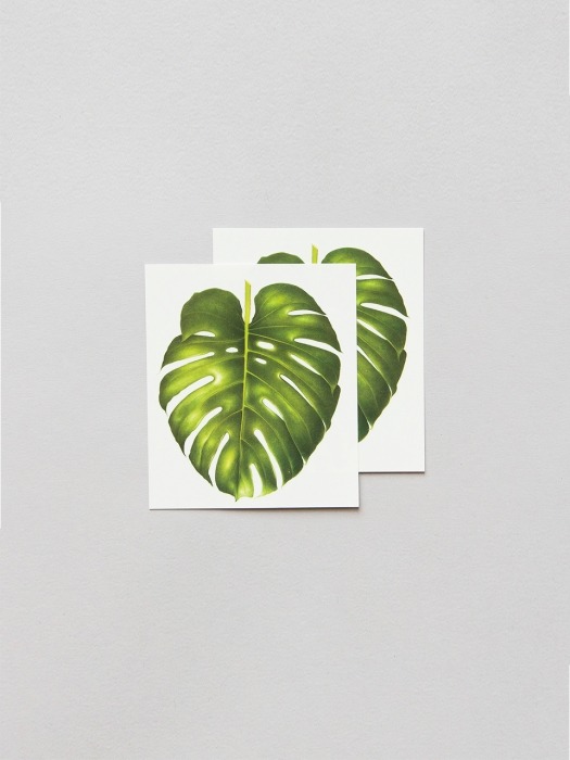 Philodendron Monstera Pairs 타투 스티커