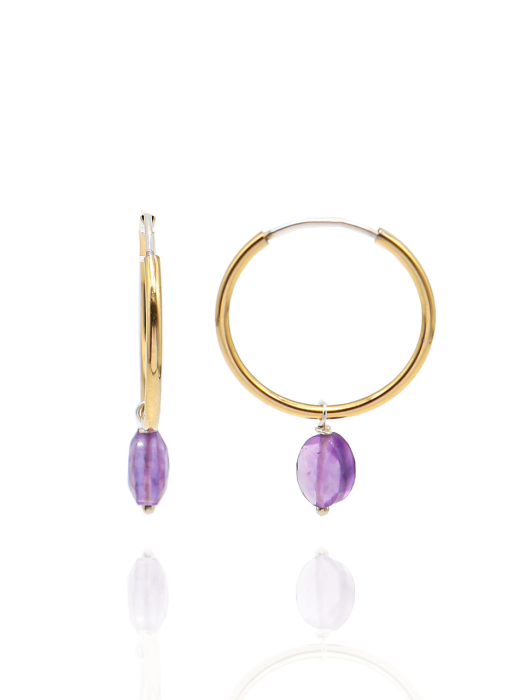 Amethyst Point Silver Ring Earring Ie279 [Gold]