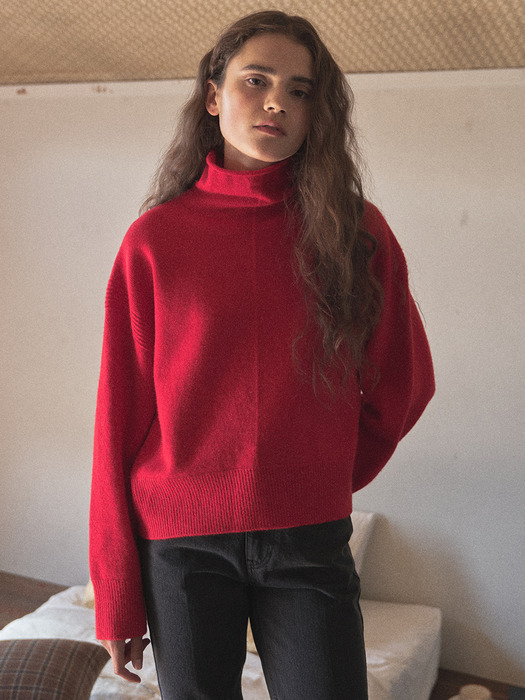 cashmere wholegarment turtleneck  (red)