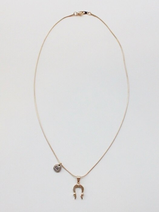 Horseshoe necklace (Gold)