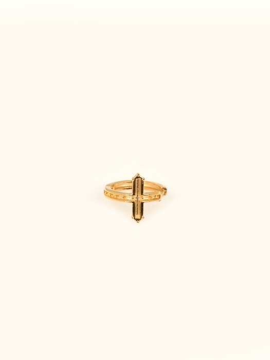 Crossed Ring Earrings [ Gold ]