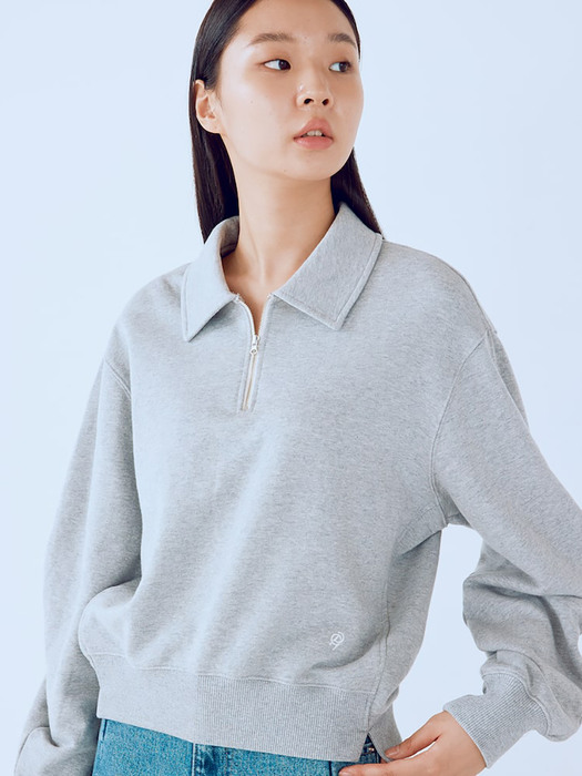 Volume Sleeve Zipup Sweatshirts  Grey (KE1840M063)