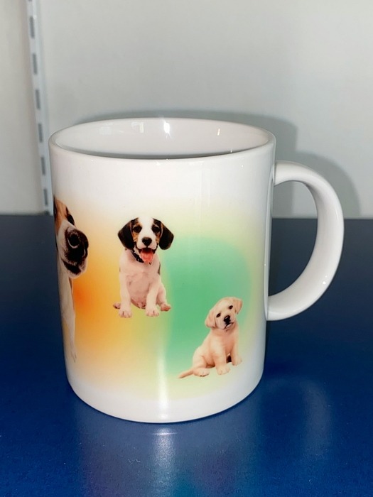 Gradation Puppy mug (orange&green)