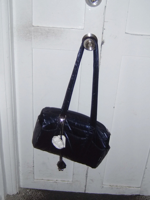 Park Bag_Navy