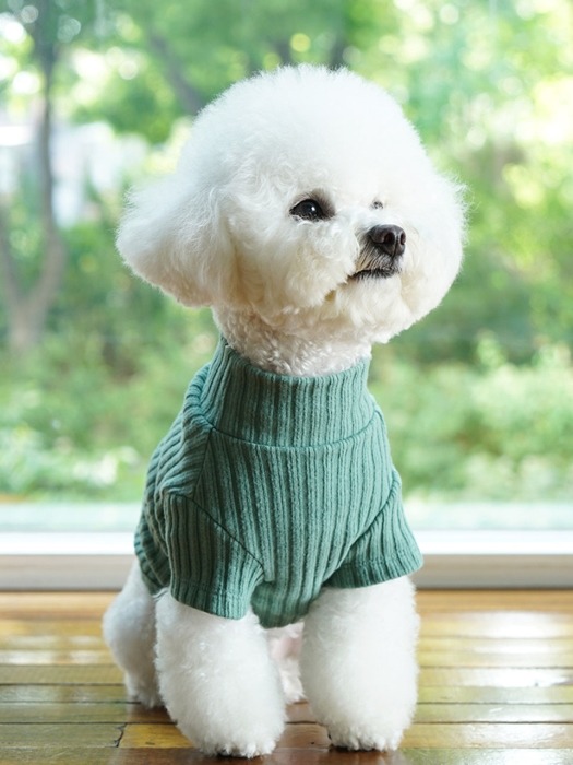PAWU(포유니온) 목폴라 스웨터