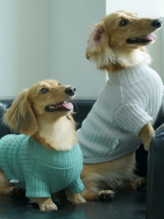 PAWU(포유니온) 목폴라 스웨터