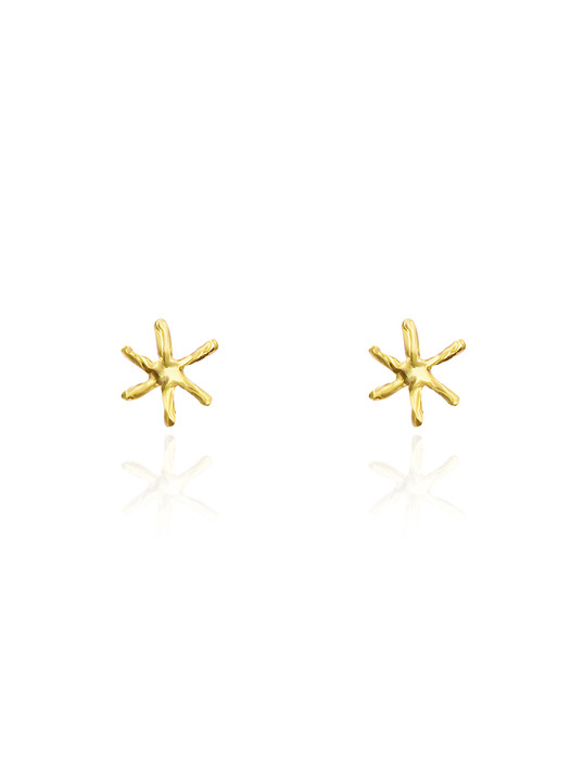 The classical star earrings no.2