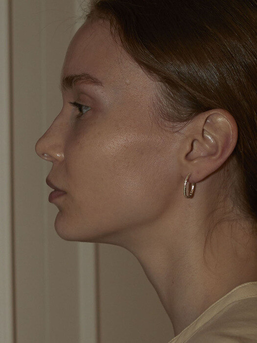 CS-12 Earring