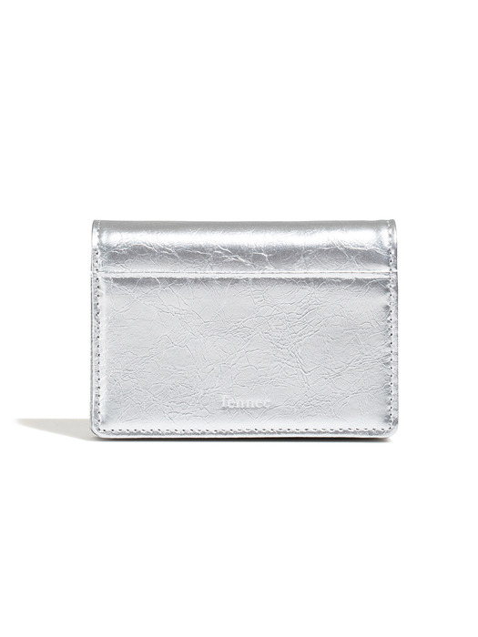 CRINKLE MOONRISE POCKET D - SILVER