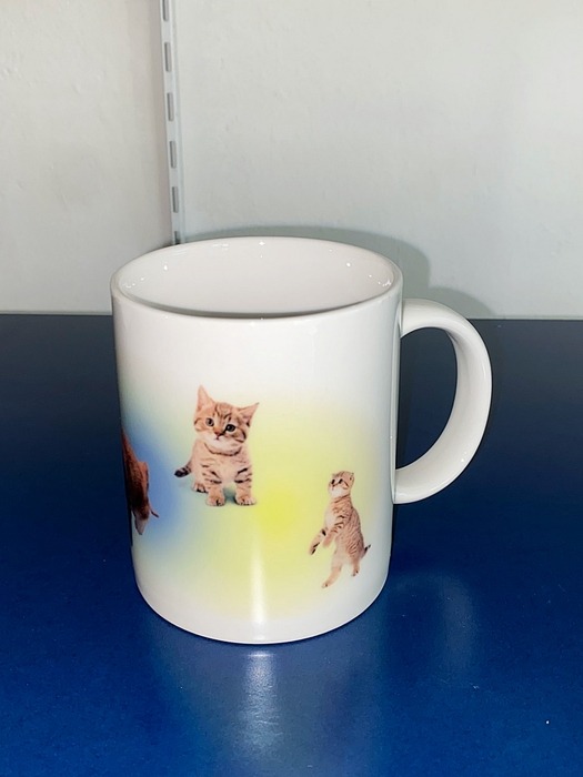 Gradation Cat mug (blue&yellow)