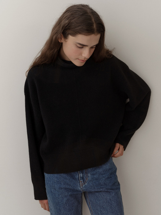 cashmere wholegarment turtleneck  (black)