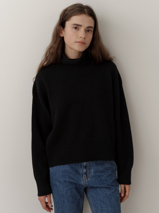 cashmere wholegarment turtleneck  (black)