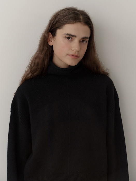 cashmere wholegarment turtleneck  (black)