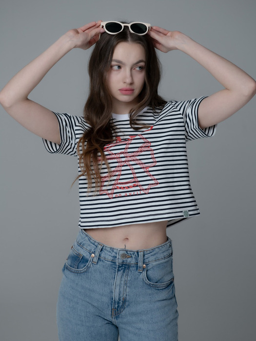 RIBBON CHAIN STRIPE CROP TSHIRT_NAVY RED