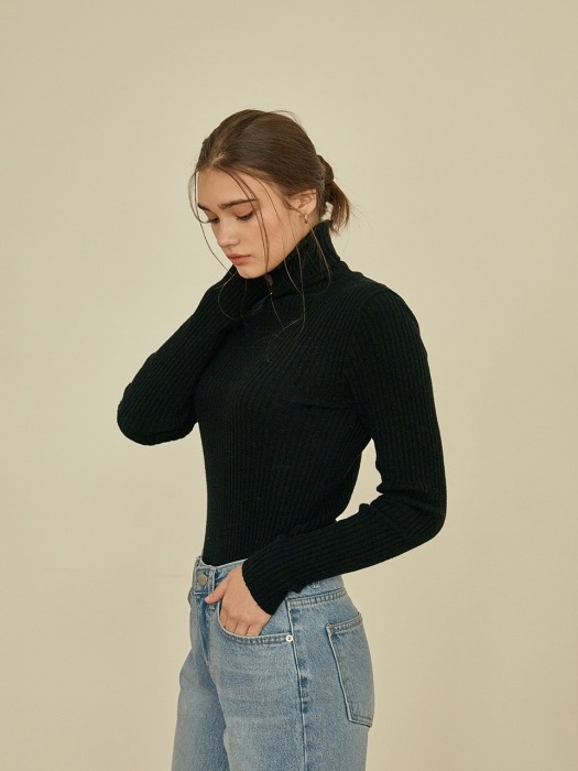 simple golgi turtleneck knit [black]