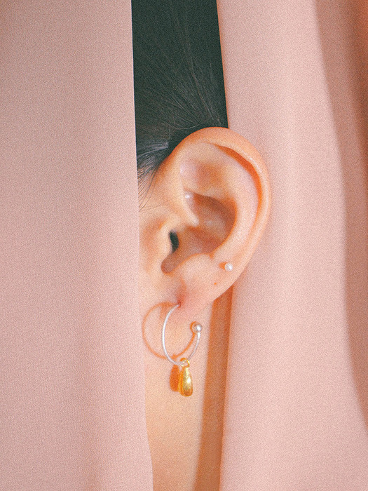 Gold nut Earrings