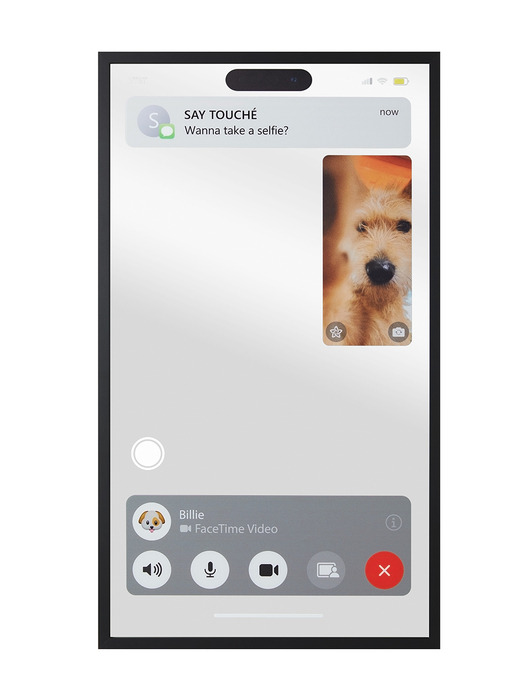 Facetime Mirror