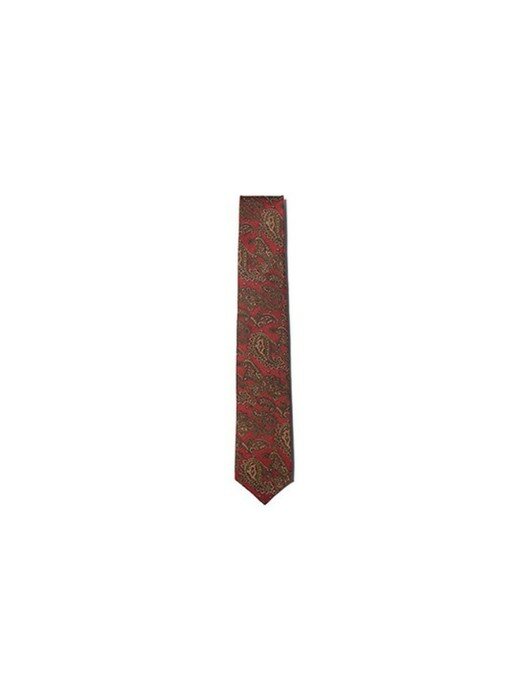 paisley pattern tie_CAAIX21221WIX