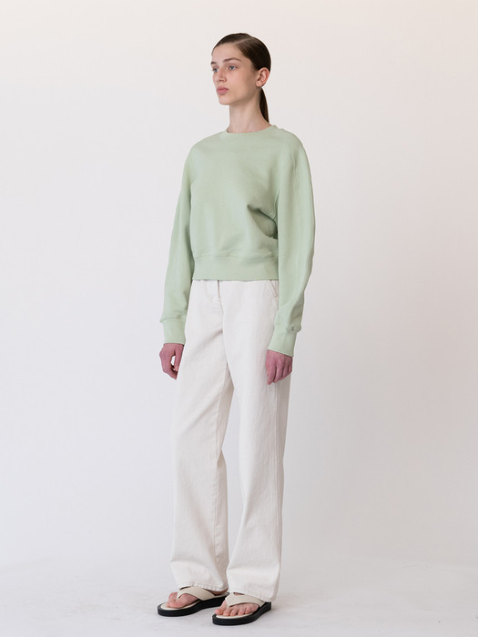 Volume sleeve cropped sweatshirt (mint)