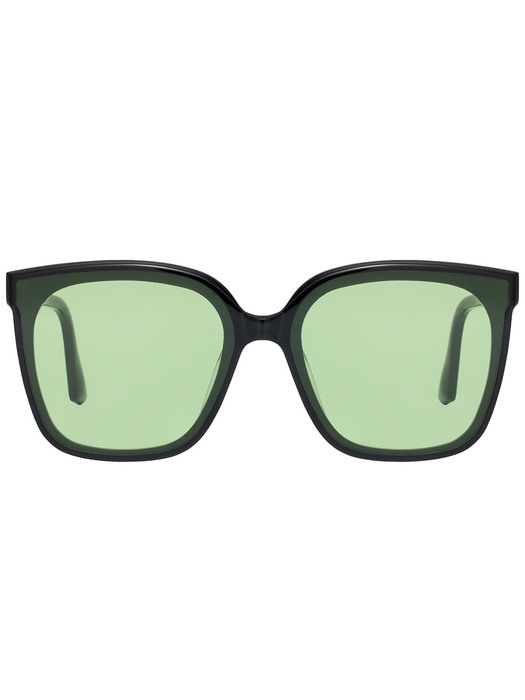RECLOW 아세테이트 E-SANG GREEN 선글라스
