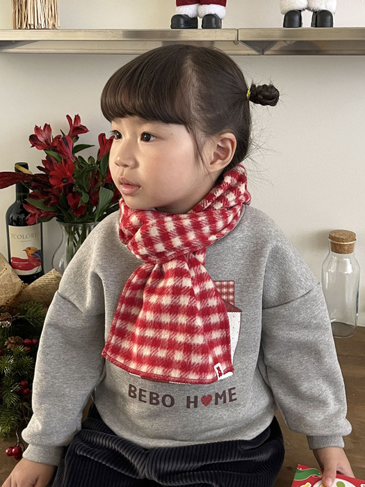 체크 머플러 (ACC25407)